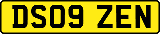 DS09ZEN