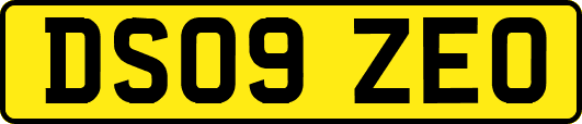 DS09ZEO