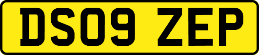 DS09ZEP