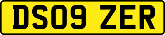 DS09ZER