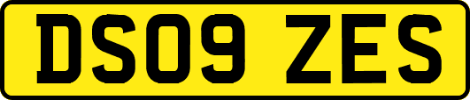DS09ZES