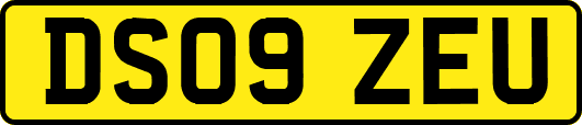 DS09ZEU