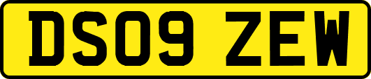 DS09ZEW