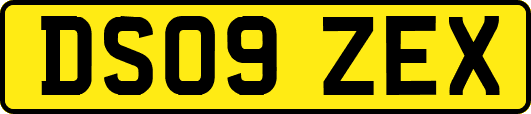 DS09ZEX