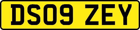 DS09ZEY