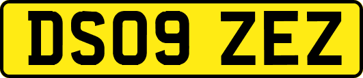 DS09ZEZ
