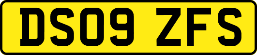 DS09ZFS