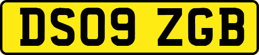 DS09ZGB
