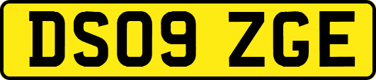 DS09ZGE