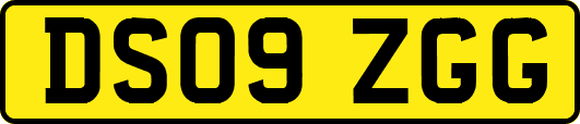 DS09ZGG