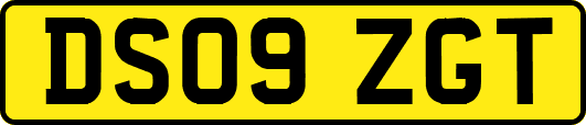 DS09ZGT