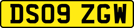 DS09ZGW