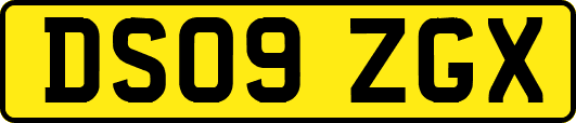 DS09ZGX