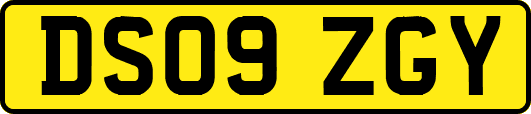 DS09ZGY