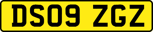 DS09ZGZ