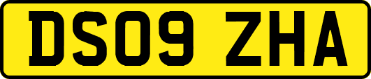 DS09ZHA