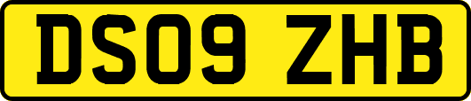 DS09ZHB