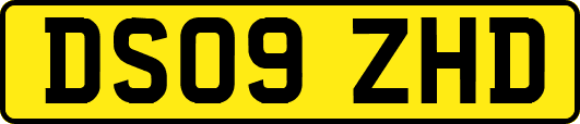 DS09ZHD