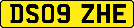 DS09ZHE