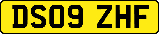 DS09ZHF