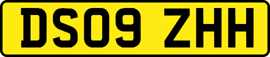 DS09ZHH
