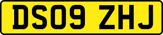 DS09ZHJ