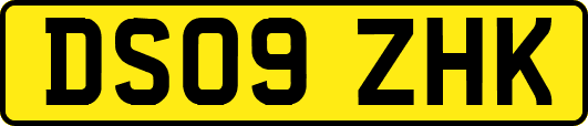 DS09ZHK