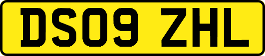 DS09ZHL