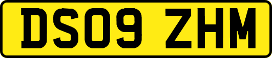 DS09ZHM