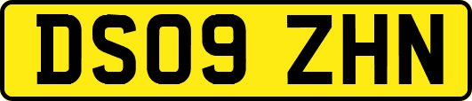DS09ZHN