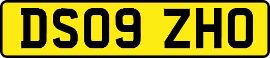 DS09ZHO
