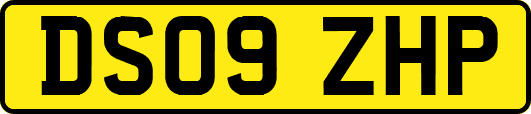 DS09ZHP