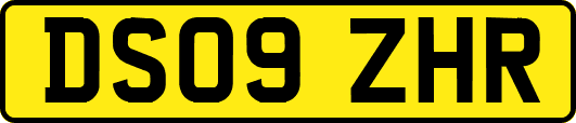DS09ZHR