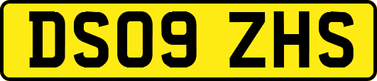 DS09ZHS