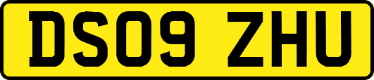 DS09ZHU