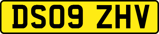 DS09ZHV
