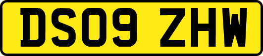 DS09ZHW