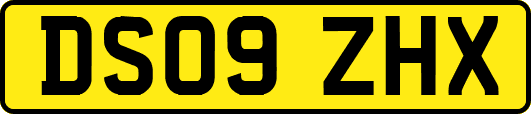 DS09ZHX