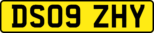 DS09ZHY