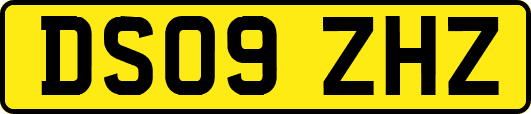 DS09ZHZ