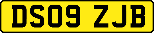 DS09ZJB