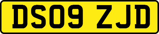 DS09ZJD