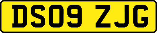 DS09ZJG