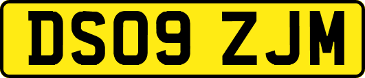 DS09ZJM