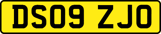 DS09ZJO