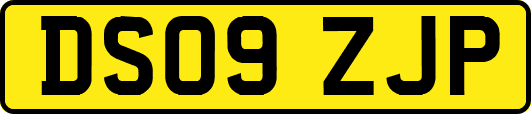 DS09ZJP