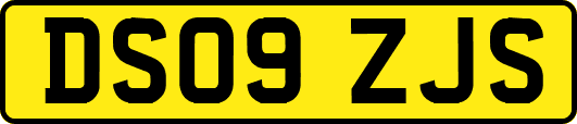 DS09ZJS