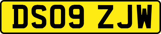 DS09ZJW
