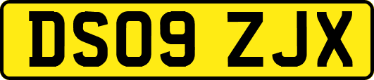 DS09ZJX