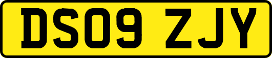 DS09ZJY